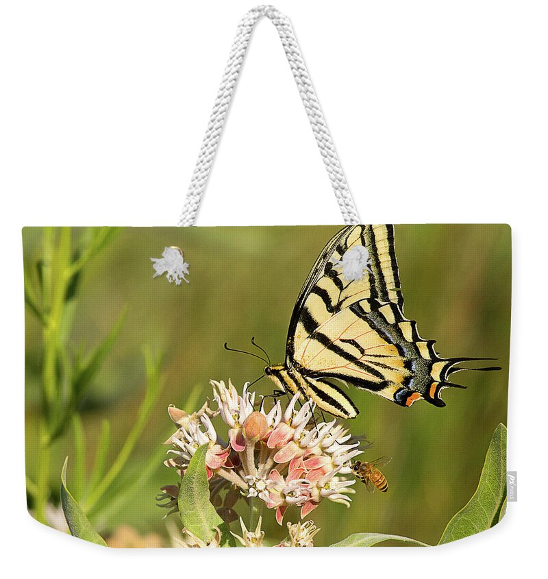 Insect Weekender Tote Bag featuring the photograph Swallowtail and Bee Feeding by Dennis Hammer