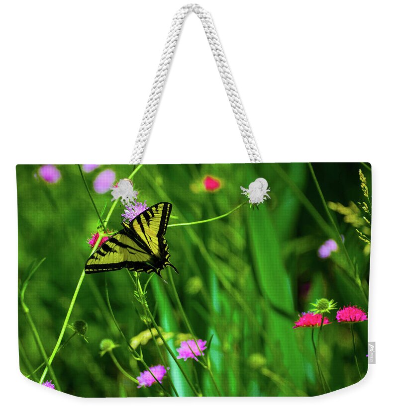 Butterfly Weekender Tote Bag featuring the photograph Swallowtail Butterfly by Steph Gabler