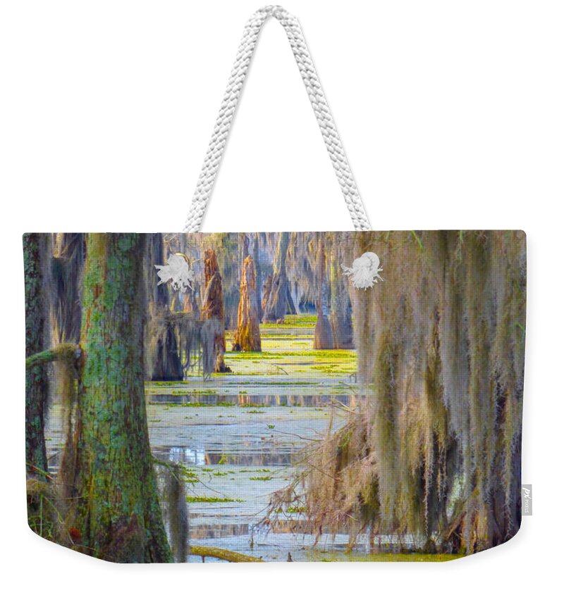 Orcinusfotograffy Weekender Tote Bag featuring the photograph Swamp Curtains In February by Kimo Fernandez