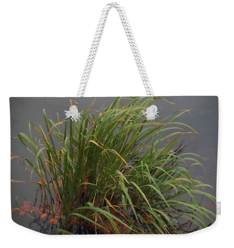 Nature Weekender Tote Bag featuring the photograph Swamp Grass by Skip Willits