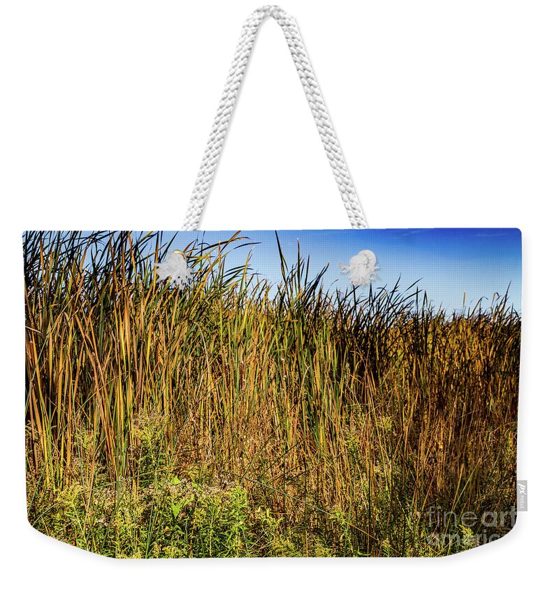 Grass Weekender Tote Bag featuring the photograph Swamp Grass by William Norton