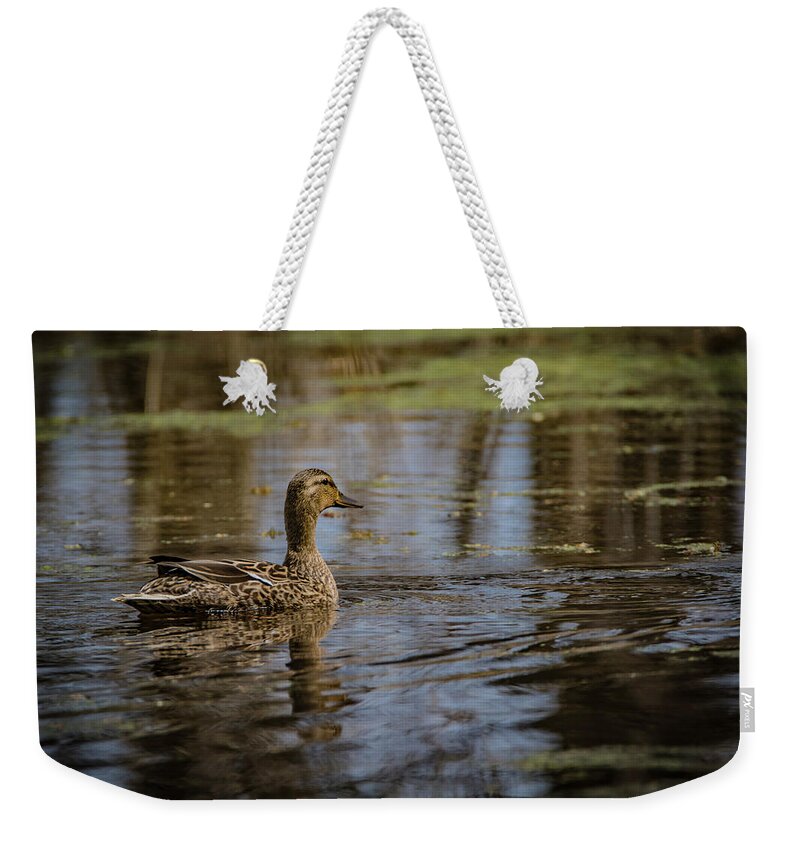 Mallard Weekender Tote Bag featuring the photograph Swamp Lady by Ray Congrove