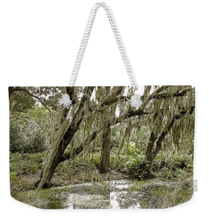  Weekender Tote Bag featuring the photograph Swampy Patch by Lydia Holly