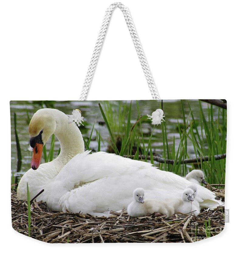 Swan Weekender Tote Bag featuring the photograph Swan 3 by September Stone