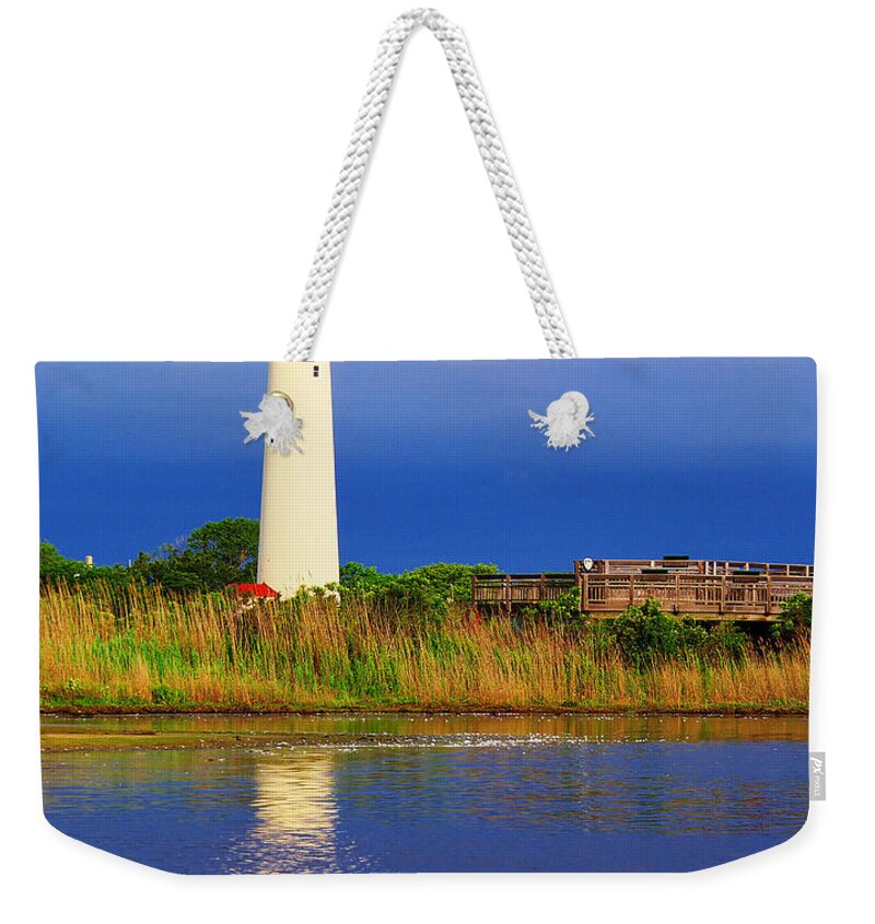 Architecture Weekender Tote Bag featuring the photograph Swan at the Lighthouse by Nick Zelinsky Jr