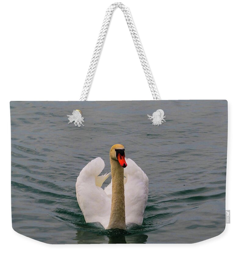 White Weekender Tote Bag featuring the photograph Swan by Cesar Vieira