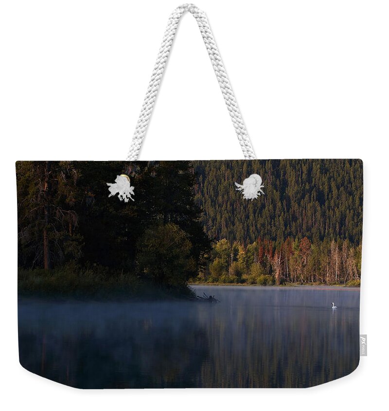 Evergreen Weekender Tote Bag featuring the photograph Swan Lake by David Andersen