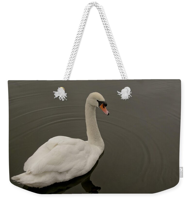 Swan Weekender Tote Bag featuring the photograph Swan move three. by Elena Perelman
