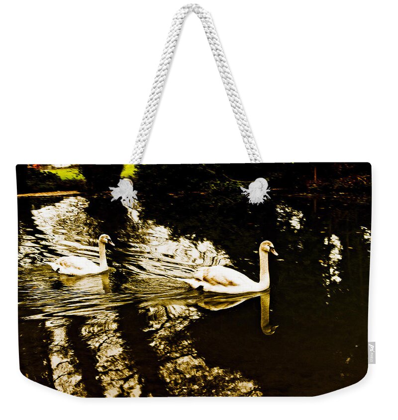 England Weekender Tote Bag featuring the photograph Swans on river Wey by Patrick Kain