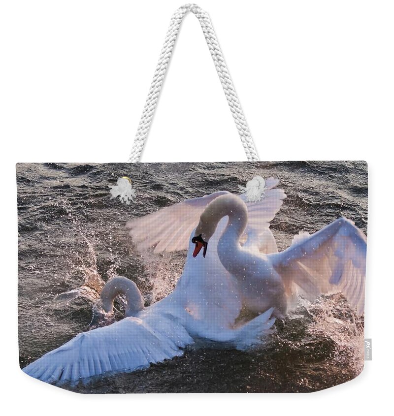 Swans Weekender Tote Bag featuring the photograph Nuptial Dance 3 by Tatiana Travelways
