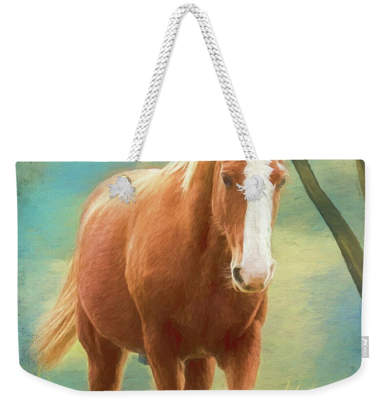 Horse Weekender Tote Bag featuring the photograph Sweeper by Eleanor Abramson