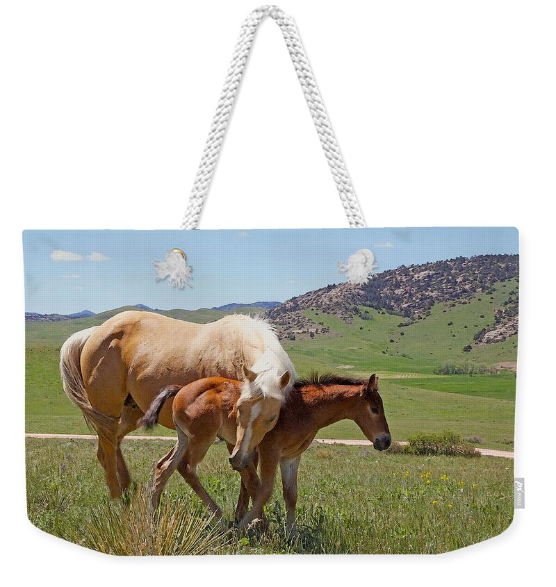 Wyoming Weekender Tote Bag featuring the photograph Sweet Comfort by Amanda Smith