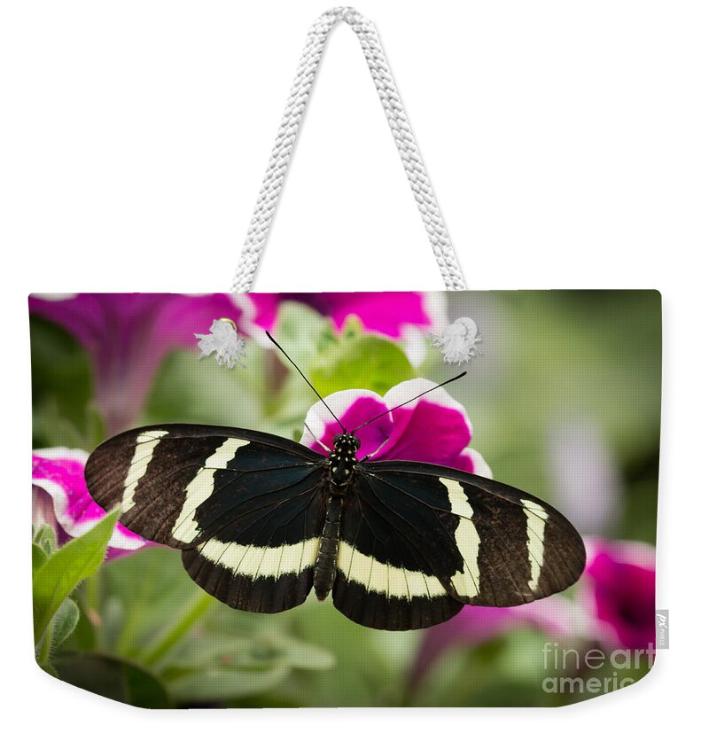 Butterfly Weekender Tote Bag featuring the photograph Sweet Little Butterfly by Ana V Ramirez