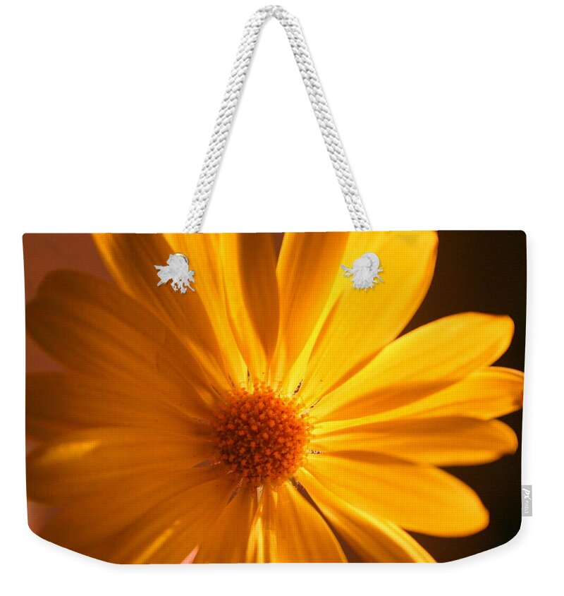 Flower Weekender Tote Bag featuring the photograph Sweet One by Julie Lueders 