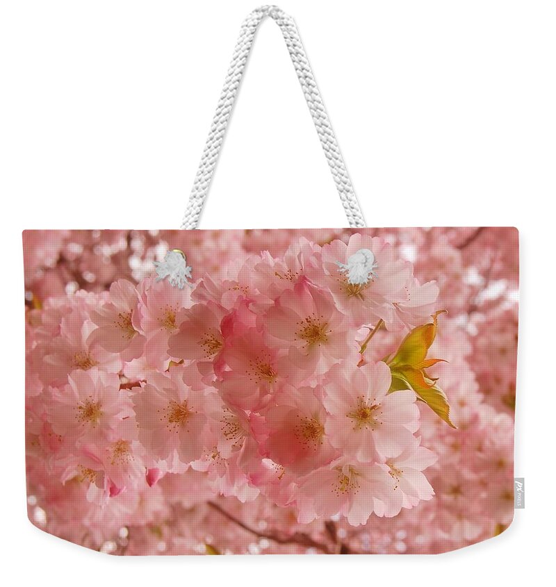 Cherry Blossom Trees Weekender Tote Bag featuring the photograph Sweet Pink- Holmdel Park by Angie Tirado