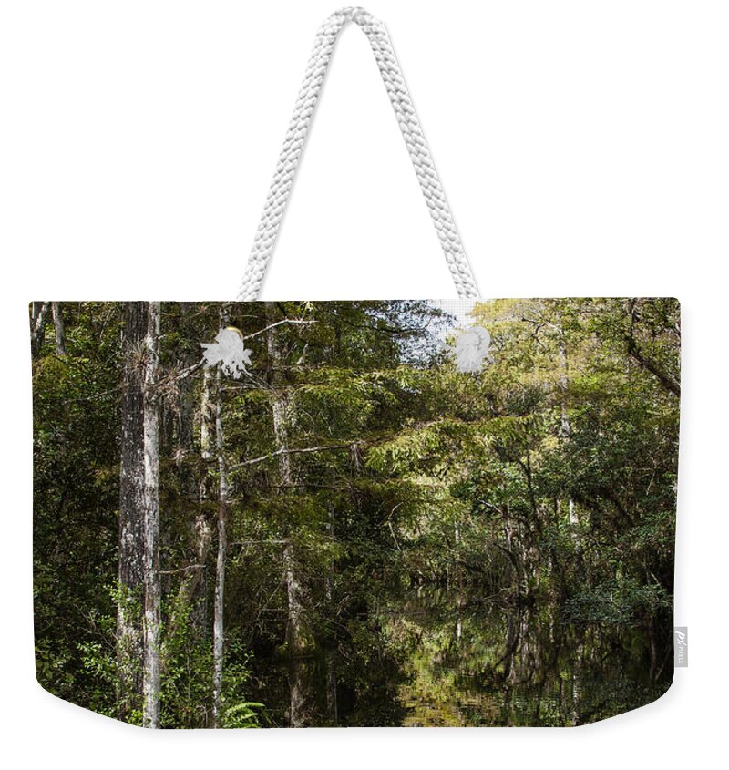 Everglades Weekender Tote Bag featuring the photograph Sweetwater Strand - 10 by Rudy Umans
