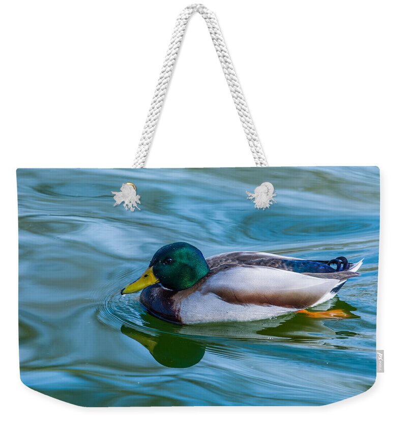 Duck Weekender Tote Bag featuring the photograph Swimming Duck by Pamela Williams