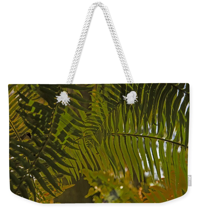 Clatsop County Weekender Tote Bag featuring the photograph Sword Fern Fronds by Robert Potts