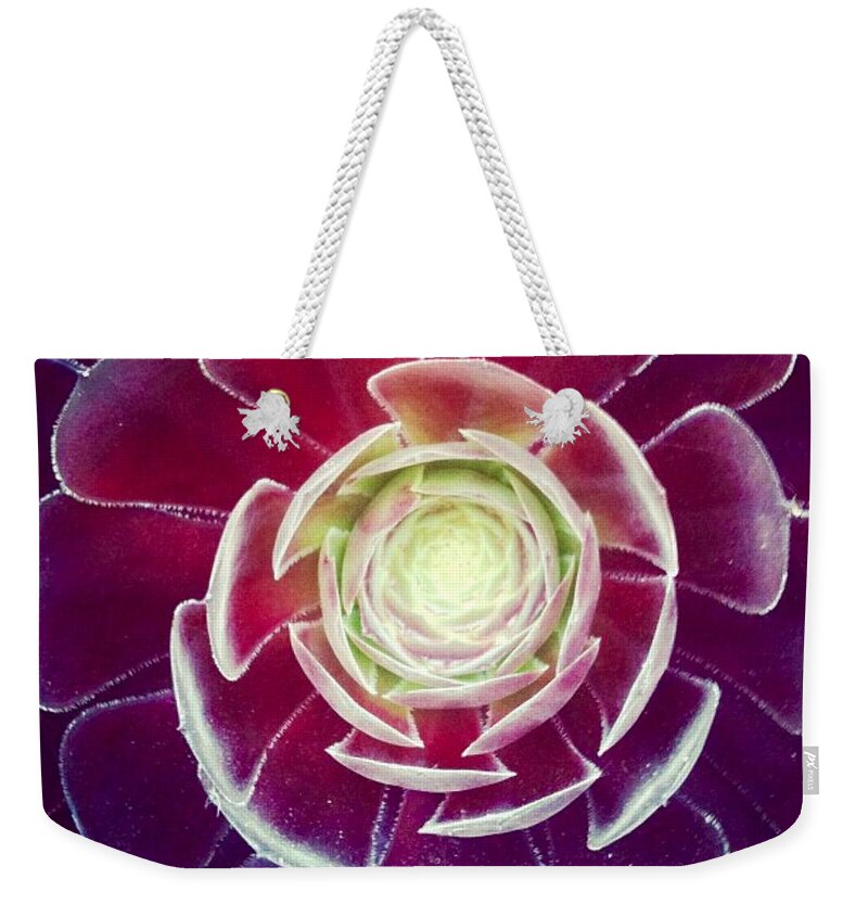 Plant Weekender Tote Bag featuring the photograph Symmetry by Denise Railey