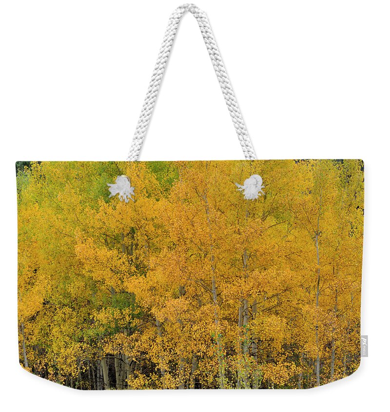 Landscape Weekender Tote Bag featuring the photograph Symphony In Gold by Ron Cline