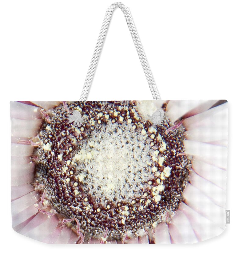 2011 Weekender Tote Bag featuring the photograph Syncarpha Vestita 4281 by Melanie Meyer