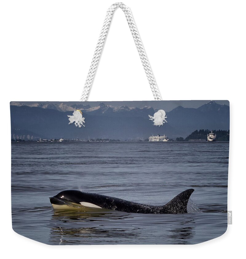 T036a Weekender Tote Bag featuring the photograph T036a by Randy Hall