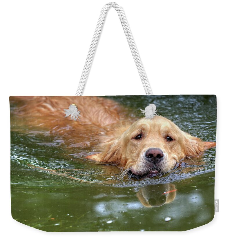 Dog Weekender Tote Bag featuring the photograph Emerging by Tatiana Travelways