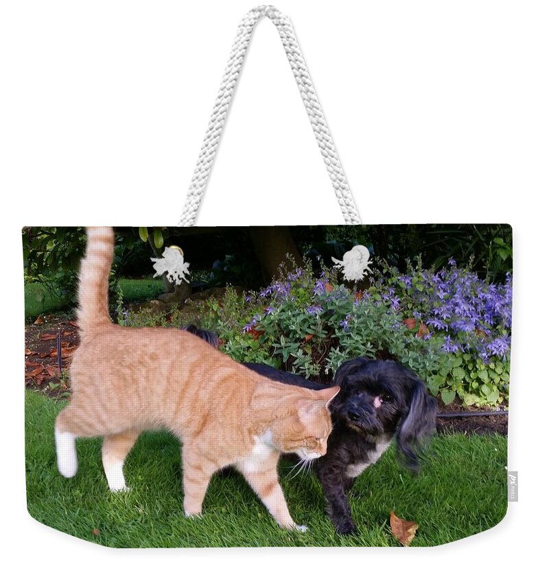 Dog Weekender Tote Bag featuring the photograph Take A Turn With Me by Rowena Tutty
