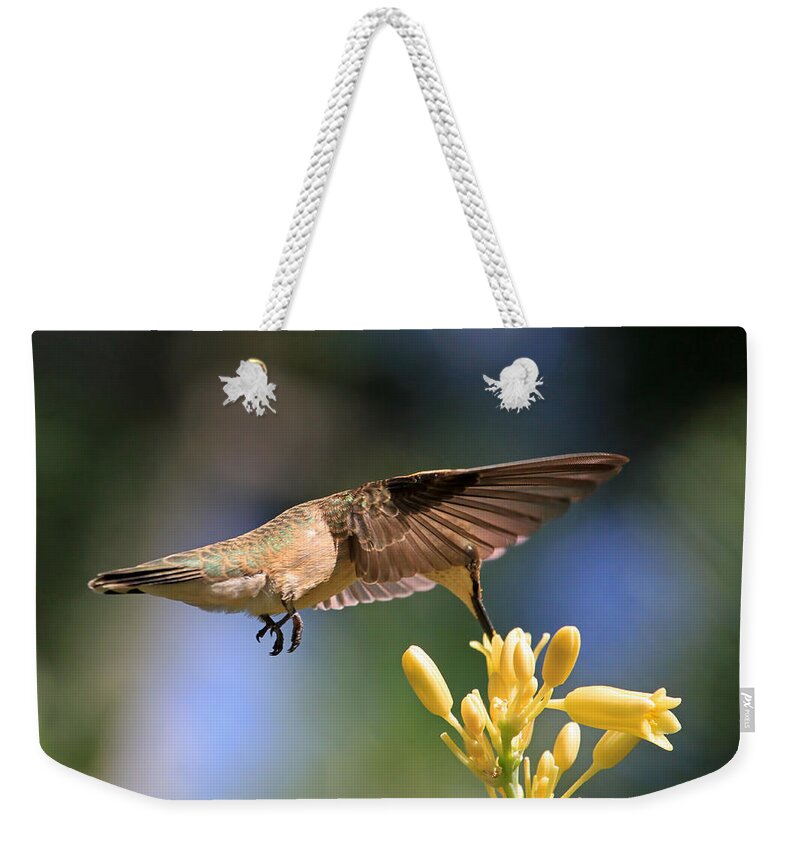 Black-chinned Hummingbird Weekender Tote Bag featuring the photograph Take It From the Top by Donna Kennedy