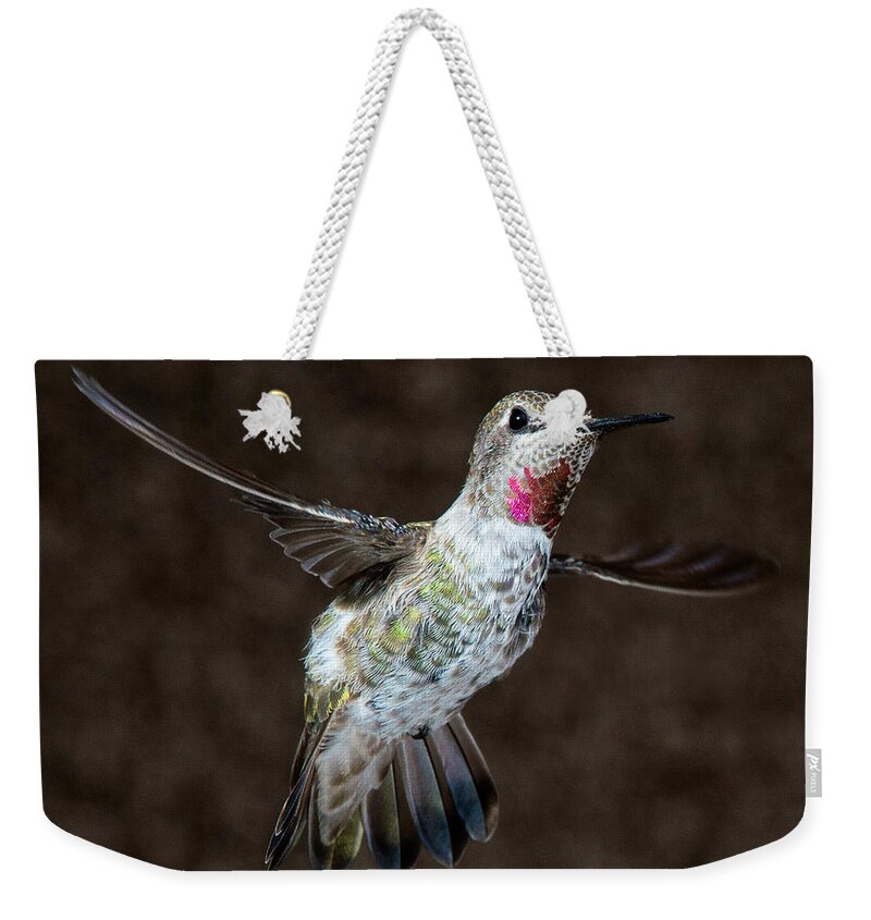 Hummingbird Weekender Tote Bag featuring the photograph Take My Good Side Please by Patrick Campbell
