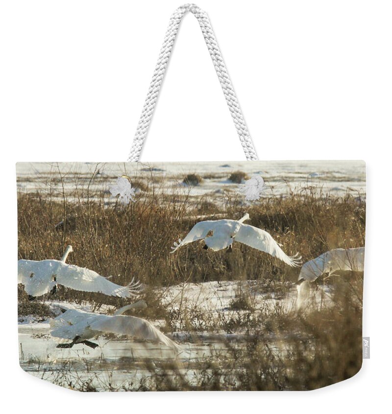 Trumpeter Swans Weekender Tote Bag featuring the photograph Take Off by Holly Ross