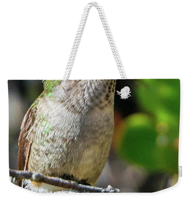 Bird Weekender Tote Bag featuring the photograph Taking A Break by Paul Johnson