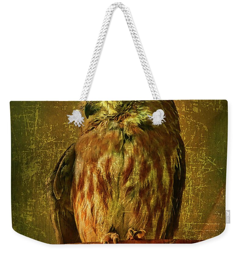 Owl Weekender Tote Bag featuring the photograph Taking A Snooze by Deborah Benoit