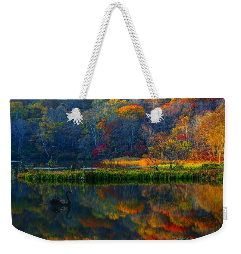 Swan Weekender Tote Bag featuring the photograph Tales of the black Swan by Midori Chan