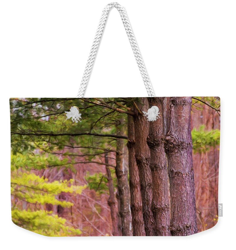Nature Weekender Tote Bag featuring the photograph Tall Pines Standing Guard by Sharon McConnell