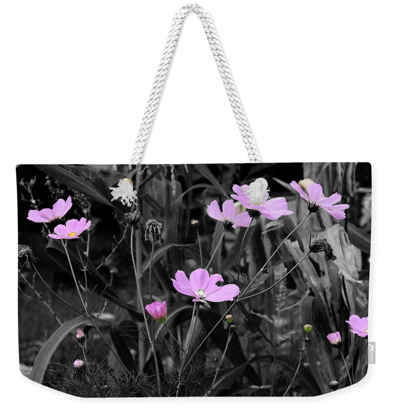 Pink Weekender Tote Bag featuring the photograph Tall Pink Poppies by April Burton