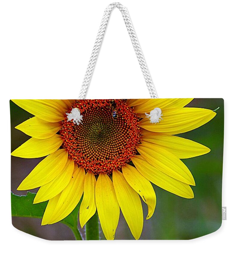 Yellow Flower Weekender Tote Bag featuring the photograph Tall Sunflower Gleaming by Karen McKenzie McAdoo