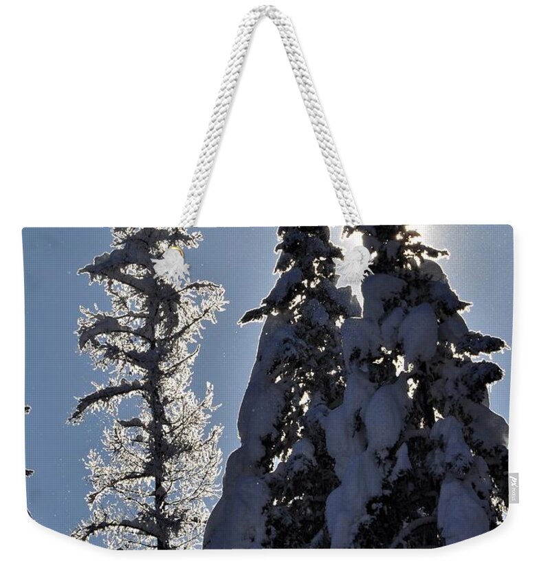 Reflections Weekender Tote Bag featuring the photograph Tall trees and Tall Snow by Mike Helland