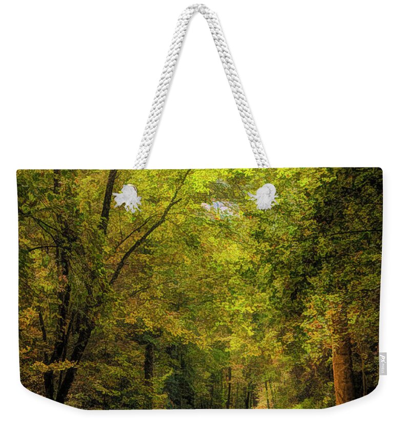 Tallulah River; Tallulah Gorge State Park; Georgia; Trail; Forest; Mountains; Digital Art Weekender Tote Bag featuring the photograph Tallulah Trail by Mick Burkey