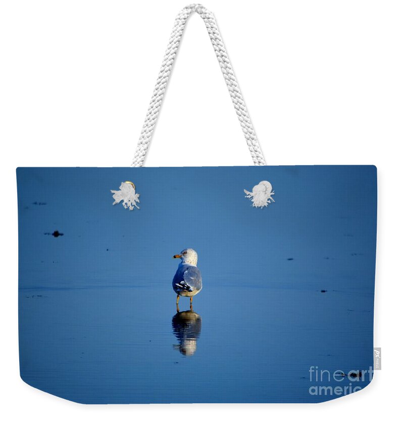 Seagull Weekender Tote Bag featuring the photograph Tan Lines by Dani McEvoy