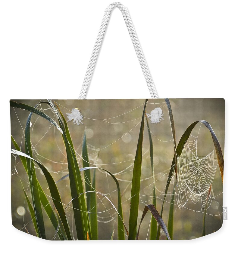 Foggy Morning Weekender Tote Bag featuring the photograph Tangled Highway by Carolyn Marshall
