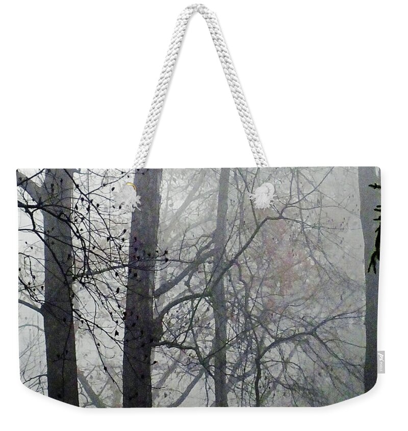 Nature Weekender Tote Bag featuring the photograph Tanglewood Fog by Lizi Beard-Ward