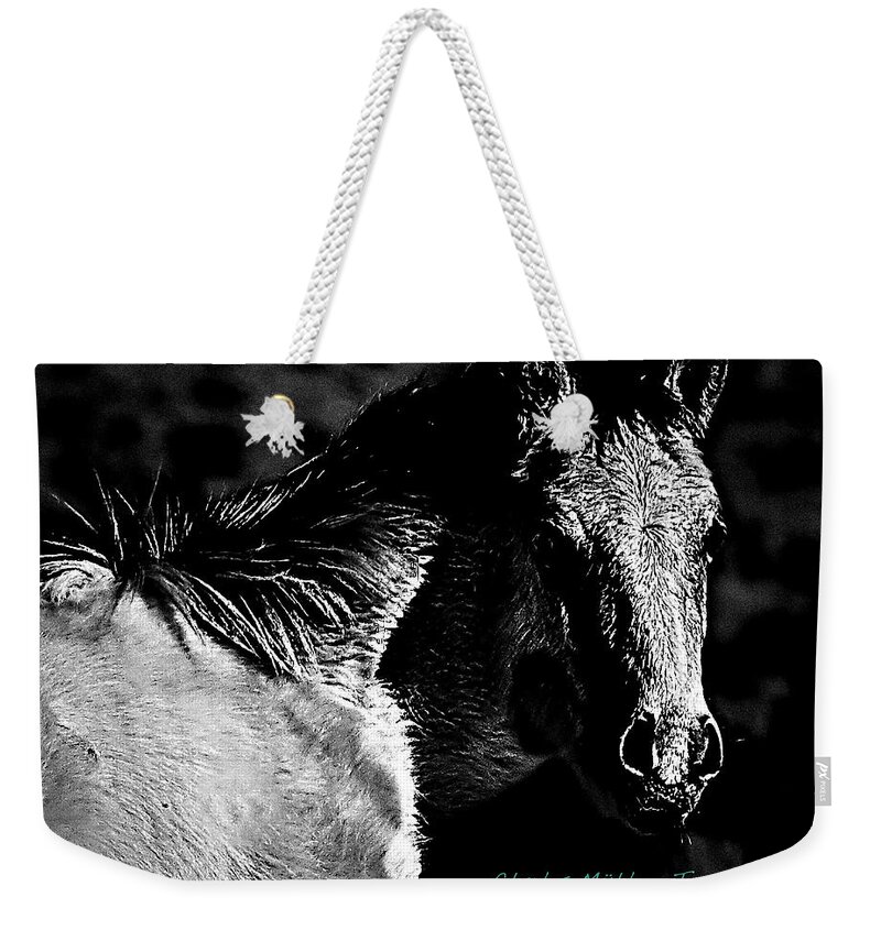  Taos Weekender Tote Bag featuring the photograph Taos Pony in B-W by Charles Muhle