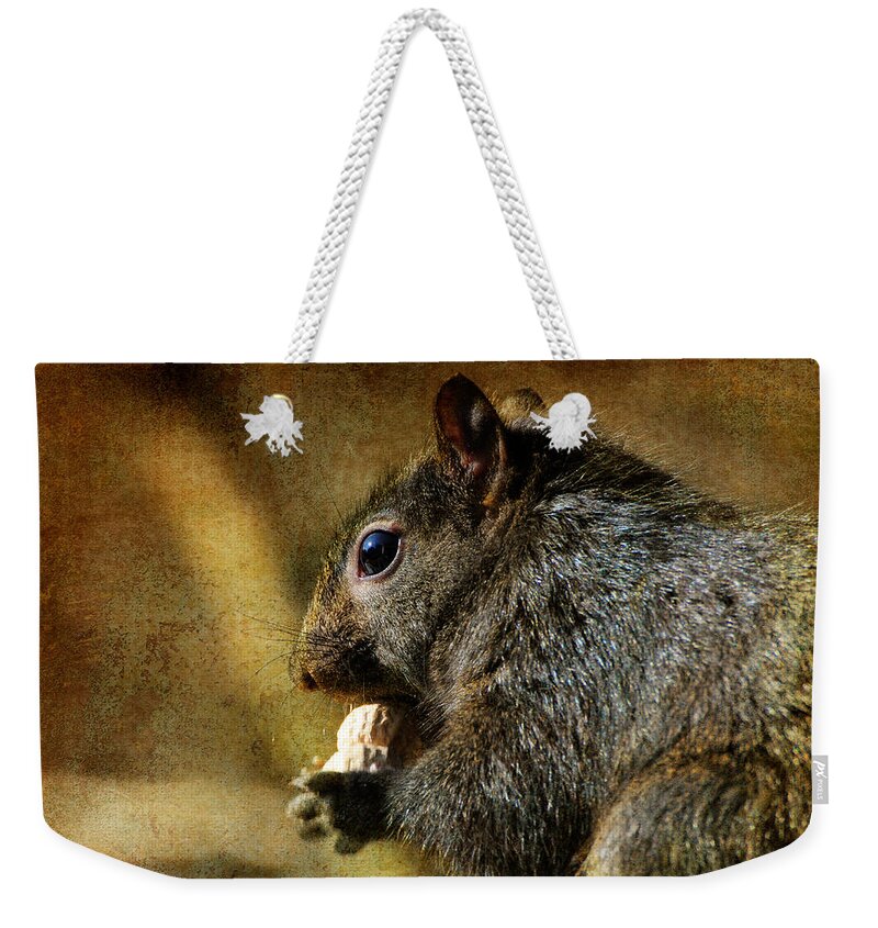 Squirrel Weekender Tote Bag featuring the photograph Tasty Snack by Lois Bryan