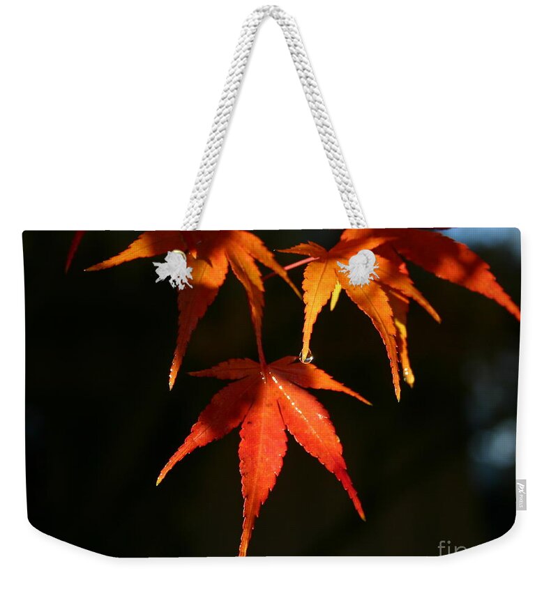 Fall Weekender Tote Bag featuring the photograph Tearful Farewell by Marie Neder