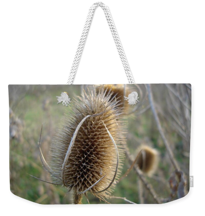 Flora Weekender Tote Bag featuring the photograph Teazle by Susan Baker