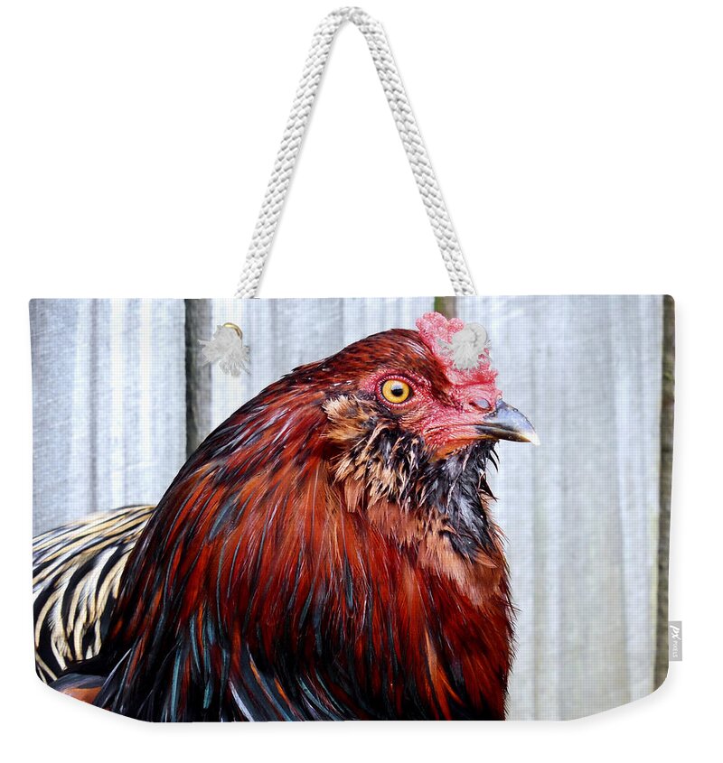 Technicolor Chic Weekender Tote Bag featuring the photograph Technicolor Chic by Morgan Carter