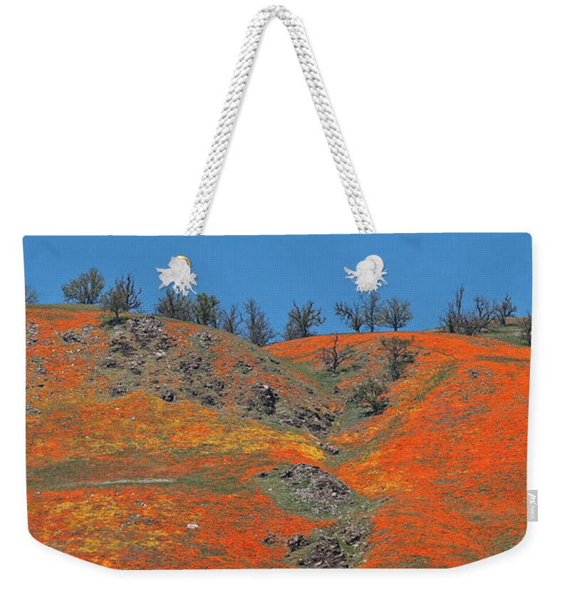Spring Weekender Tote Bag featuring the photograph Tejon Pass Poppy Panorama by Lynn Bauer
