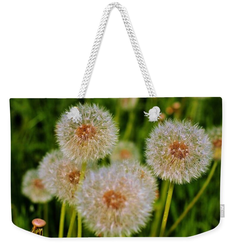 Friendship Weekender Tote Bag featuring the photograph Tell All My Friends Goodbye by William Rockwell