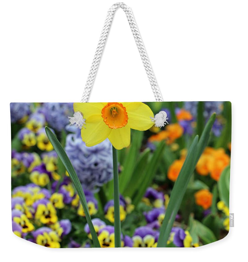 Daffodil Weekender Tote Bag featuring the photograph Texas Blooms 48 by Pamela Critchlow